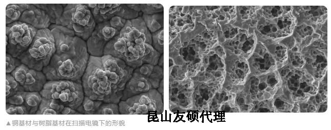 三明蔡司三明扫描电镜