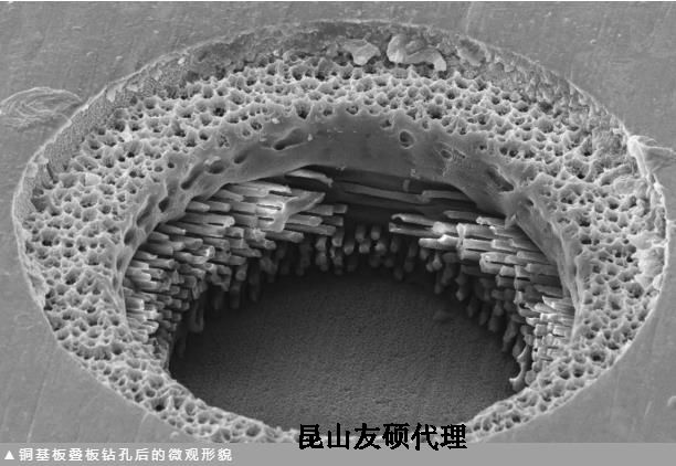 三明蔡司三明扫描电镜